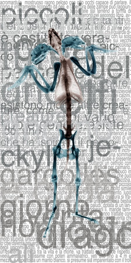 fotografia donna - Mimo Visconti fotografo