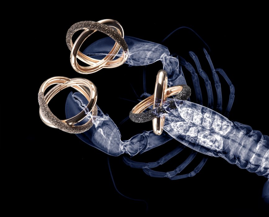 fotografia donna - Mimo Visconti fotografo